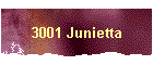 3001 Junietta